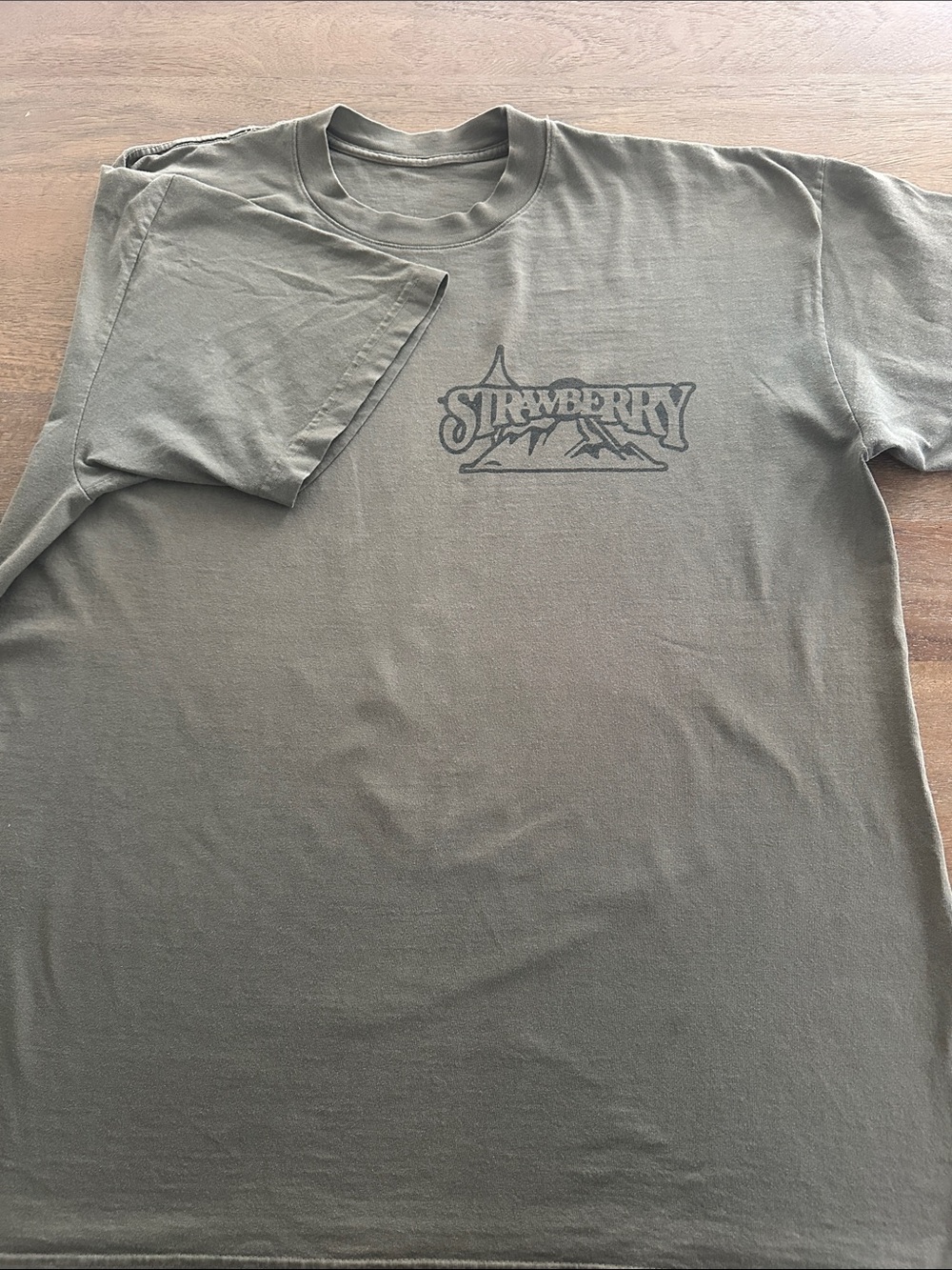 Strawberry Men’s T shirt 【XL】